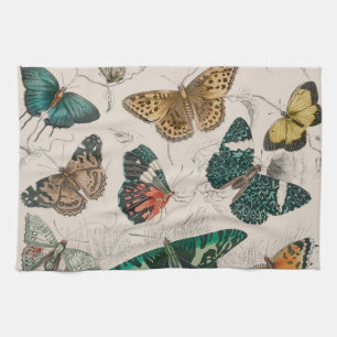 Antique Butterfly Illustration: 1820 Goldsmith Kitchen Towel