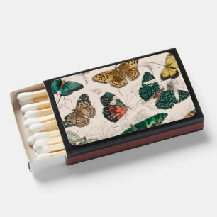 Antique Butterfly Illustration: 1820 Goldsmith Matchboxes