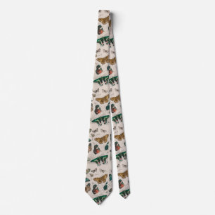 Antique Butterfly Illustration: 1820 Goldsmith Neck Tie