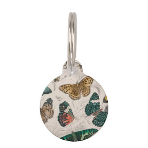 Antique Butterfly Illustration: 1820 Goldsmith Pet ID Tag