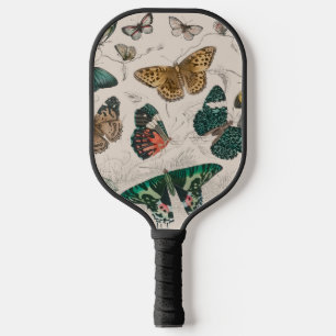 Antique Butterfly Illustration: 1820 Goldsmith Pickleball Paddle