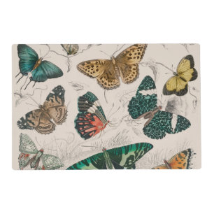 Antique Butterfly Illustration: 1820 Goldsmith Placemat