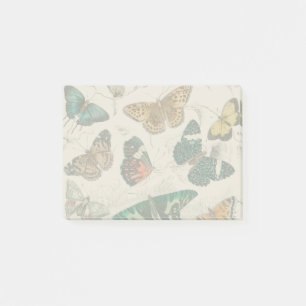 Antique Butterfly Illustration: 1820 Goldsmith Post-it Notes