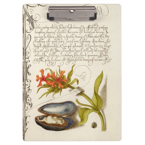 Antique calligraphy text botanical illustration clipboard
