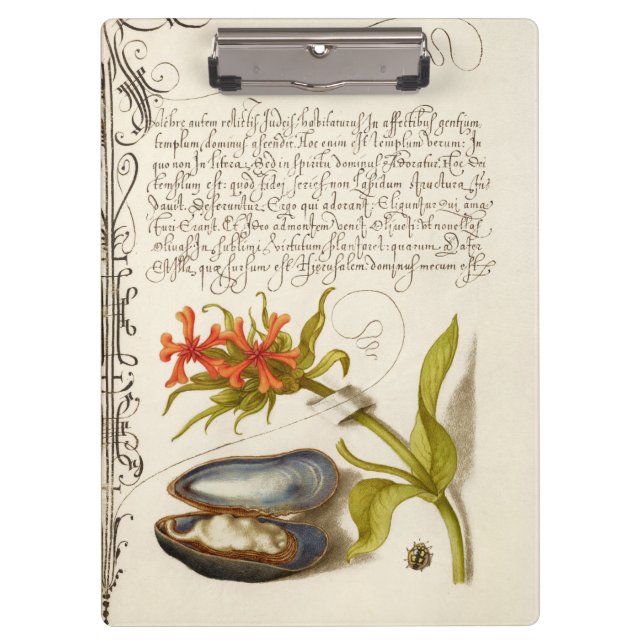 Antique calligraphy text botanical illustration clipboard (Front)