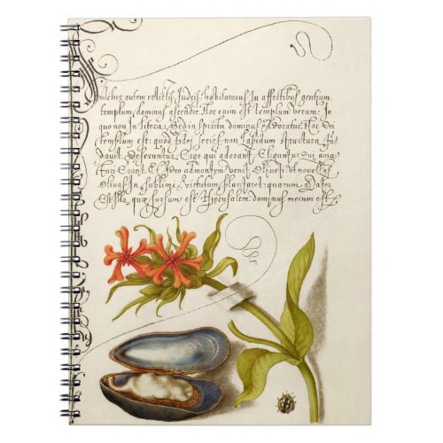 Antique calligraphy text botanical illustration notebook