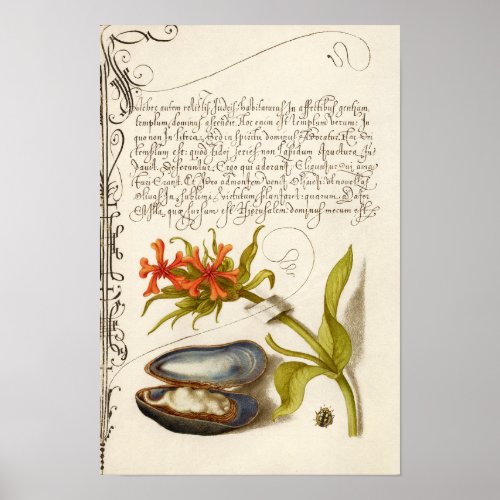Antique calligraphy text botanical illustration poster