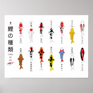 Antique carp poster, hand-painted poster