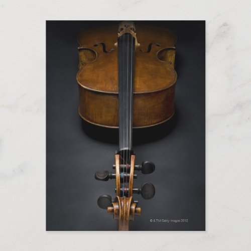 Antique Cello Postcard