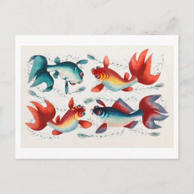 Antique Chinese Painting of Goldfish  Postcard (Front)