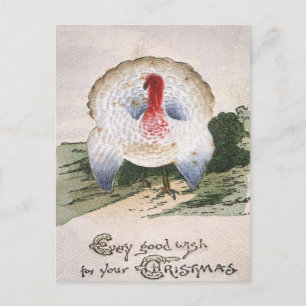 Antique Christmas Turkey Postcard