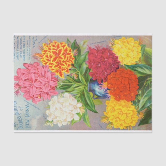 Antique Colorful Cannas Tissue Paper (Front)