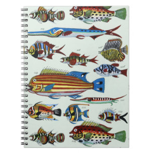 Antique Colorful Exotic Fish Natural History Print Notebook