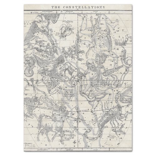 ANTIQUE CONSTELLATIONS CHART TISSUE PAPER