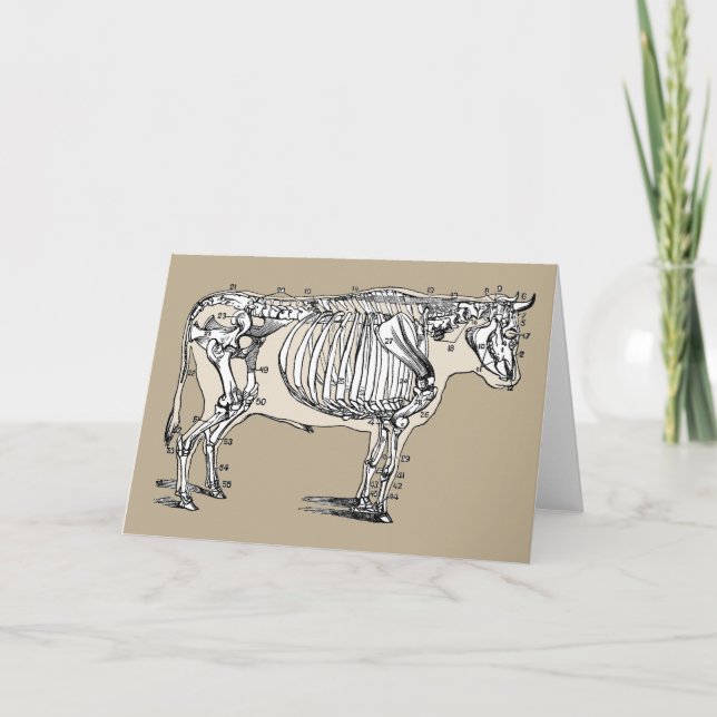 Antique Cow Skeleton Bones Fun Card (Front)