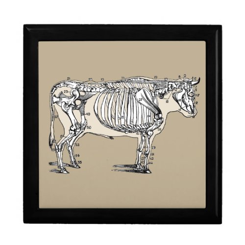 Antique Cow Skeleton Bones Fun Gift Box