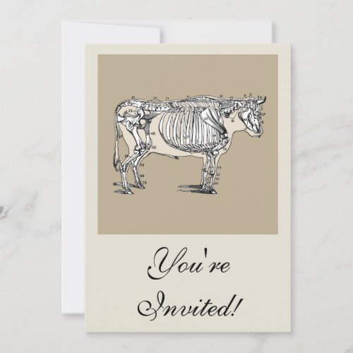 Antique Cow Skeleton Bones Fun Invitation