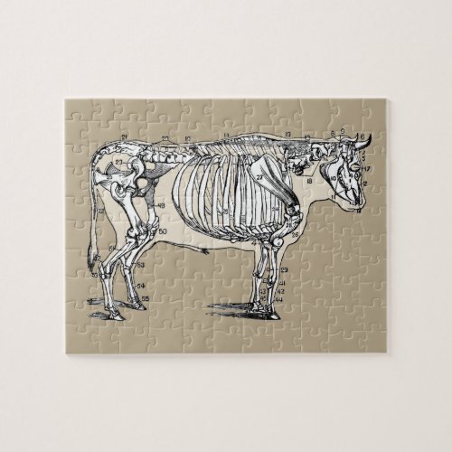 Antique Cow Skeleton Bones Fun Jigsaw Puzzle