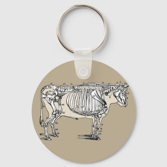Antique Cow Skeleton Bones Fun Keychain (Front)