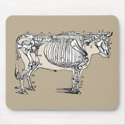 Antique Cow Skeleton Bones Fun Mouse Pad