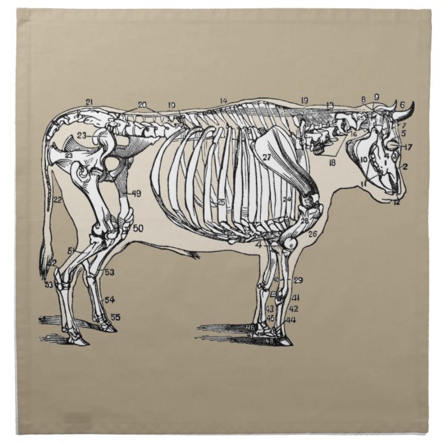 Antique Cow Skeleton Bones Fun Napkin (Front)