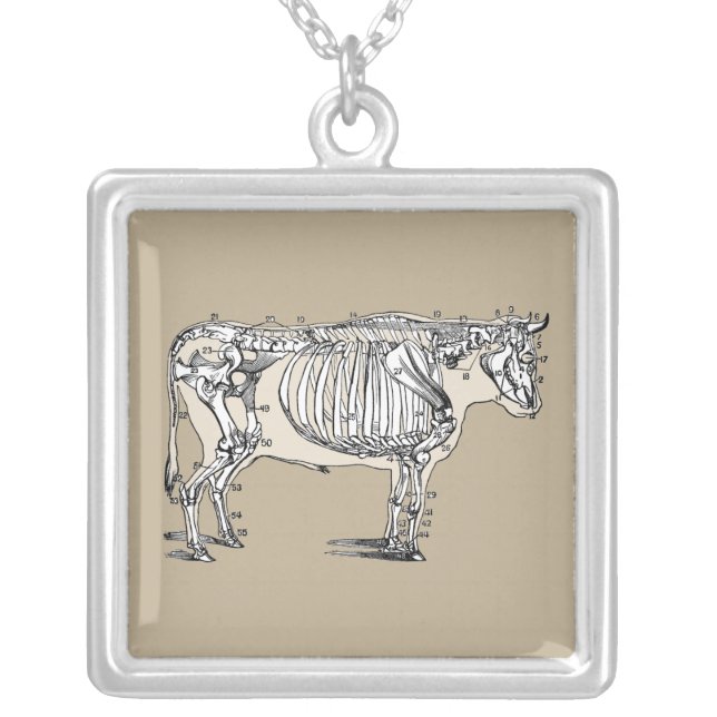 Antique Cow Skeleton Bones Fun Silver Plated Necklace (Front)