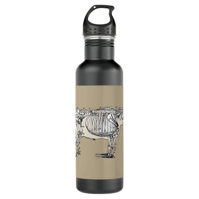 Antique Cow Skeleton Bones Fun Stainless Steel Water Bottle (Front)