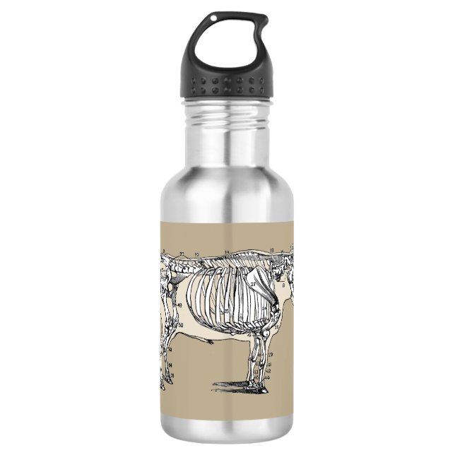 Antique Cow Skeleton Bones Fun Stainless Steel Water Bottle (Front)
