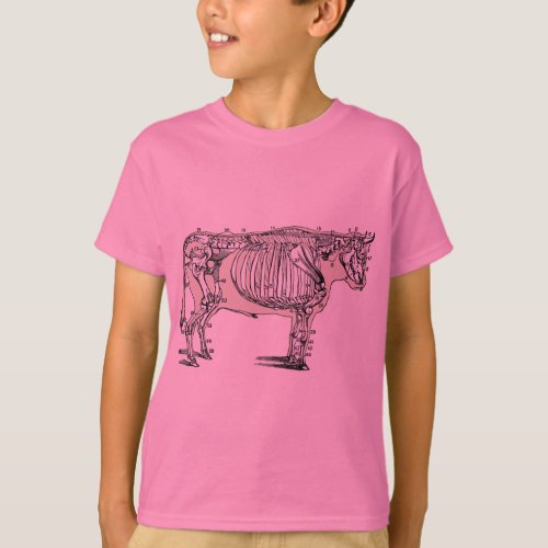 Antique Cow Skeleton Bones Fun T_Shirt