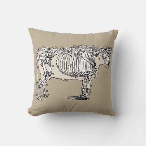 Antique Cow Skeleton Bones Fun Throw Pillow