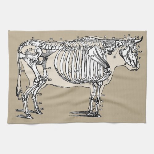 Antique Cow Skeleton Bones Fun Towel