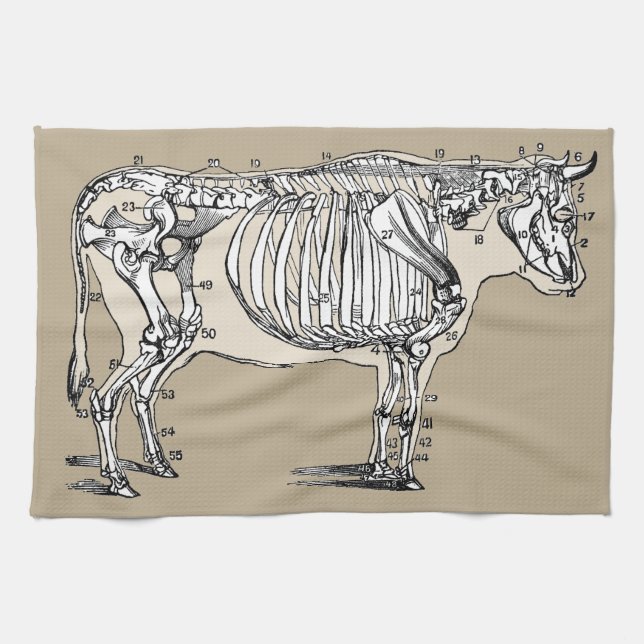 Antique Cow Skeleton Bones Fun Towel (Horizontal)