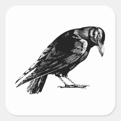 Antique Crow Blackbird RavenTotebag Square Sticker