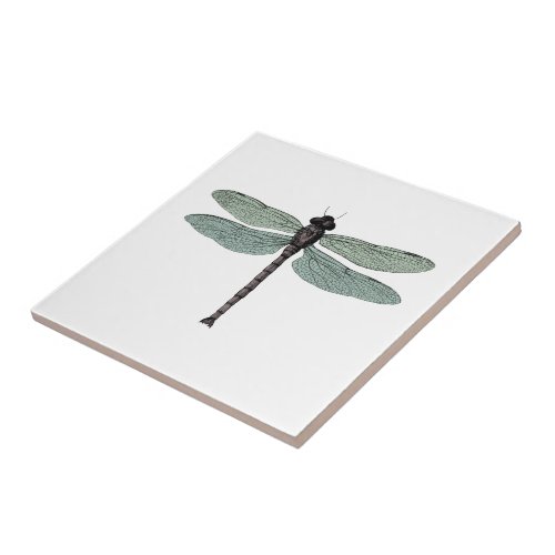 Antique Damselfly Vintage Dragonfly Insect Drawing Tile