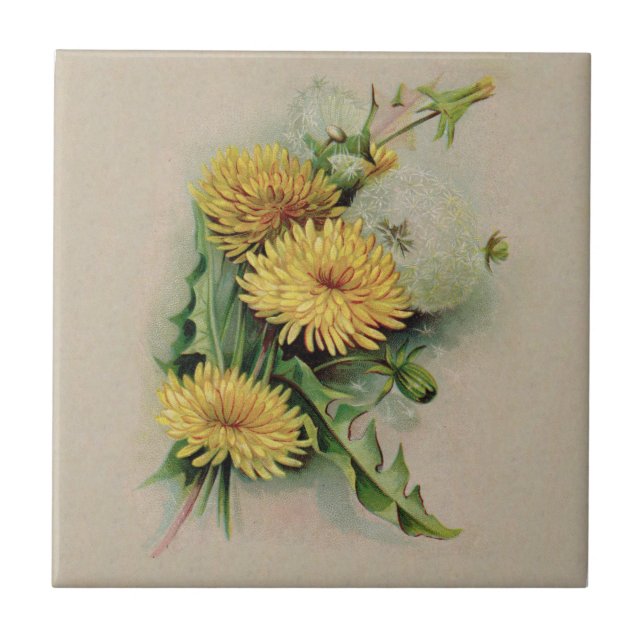 Antique Dandelion Ceramic Tile (Front)