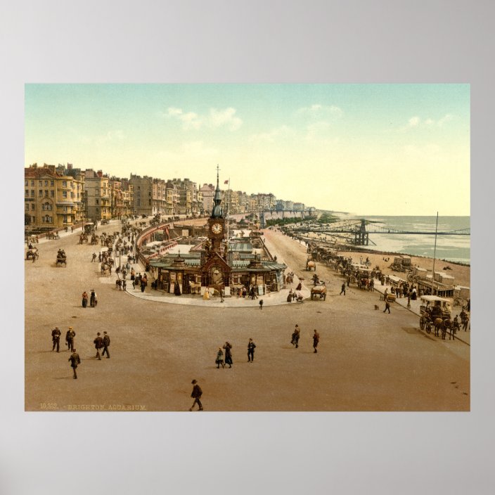 Antique England Aquarium Brighton Beach U K Poster Zazzle Com