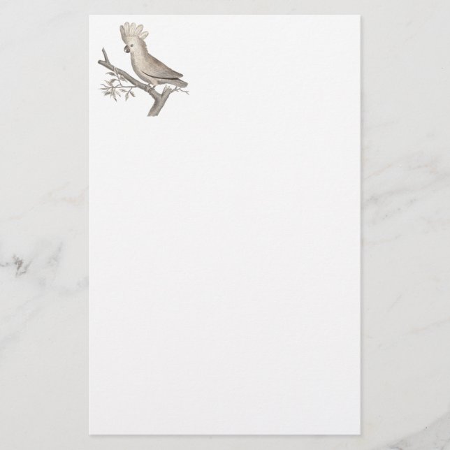 Antique Engraving of a Cockatoo Histoire Naturelle Stationery (Front)
