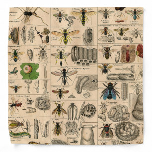 Antique Entomology Bees Wasps Natural History Bandana