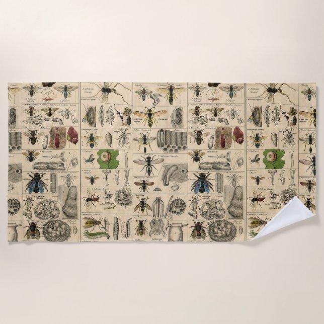 Antique Entomology Bees Wasps Natural History Beach Towel (Front)