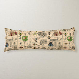 Antique Entomology Bees Wasps Natural History Body Pillow