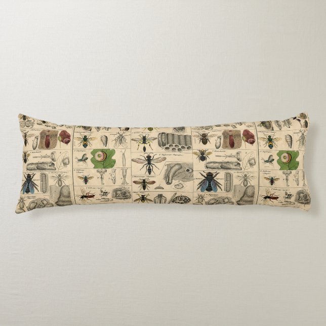 Antique Entomology Bees Wasps Natural History Body Pillow (Front)