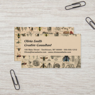 Antique Entomology Bees Wasps Natural History Business Card