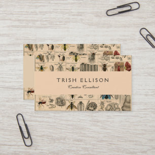 Antique Entomology Bees Wasps Natural History Business Card