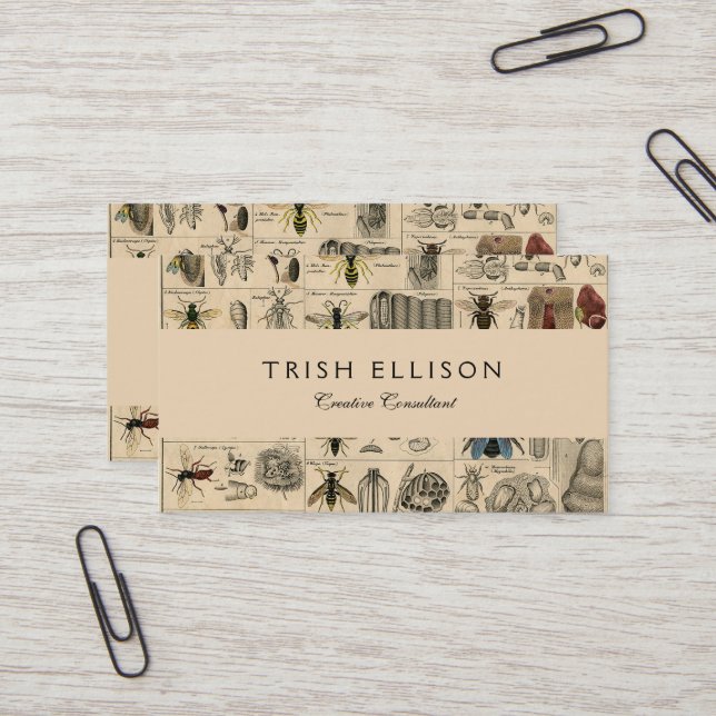 Antique Entomology Bees Wasps Natural History Business Card (Front/Back In Situ)