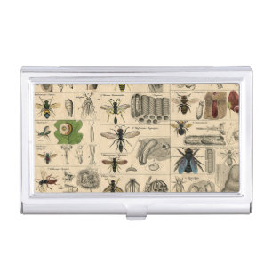 Antique Entomology Bees Wasps Natural History Business Card Case
