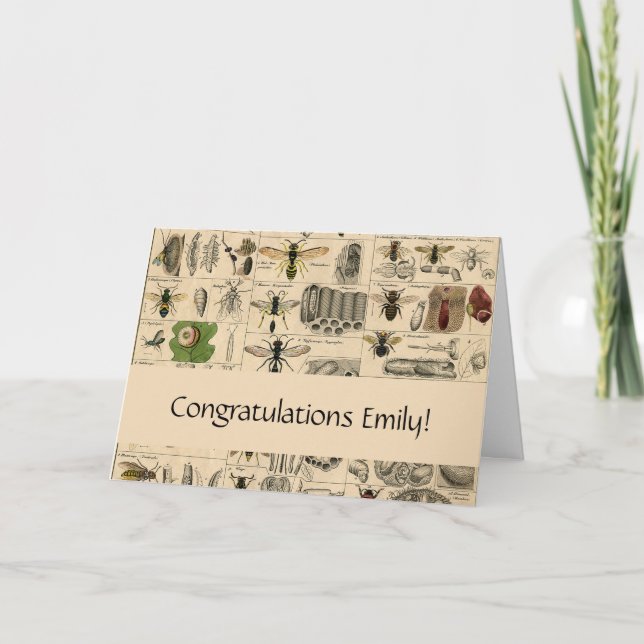 Antique Entomology Bees Wasps Natural History Card (Front)