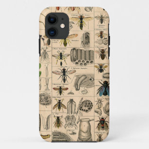Antique Entomology Bees Wasps Natural History iPhone 11 Case