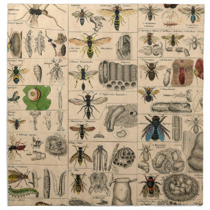 Antique Entomology Bees Wasps Natural History Cloth Napkin