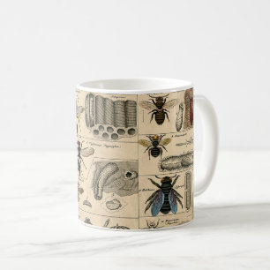 Antique Entomology Bees Wasps Natural History Coffee Mug