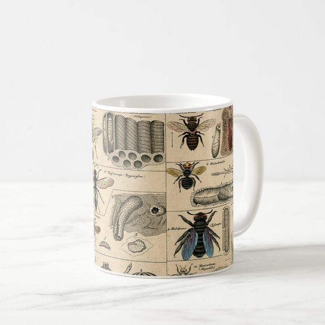 Antique Entomology Bees Wasps Natural History Coffee Mug (Front Right)